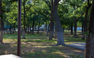 rv sites with trees