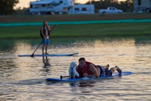 man paddle-boarding with dog